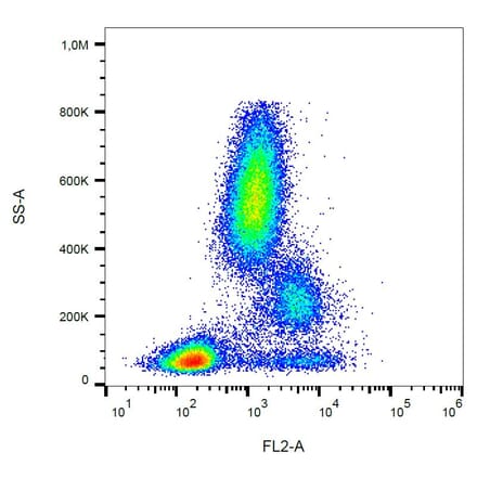 Flow Cytometry - Anti-CD39 Antibody [TU66] (PE) (A85883)