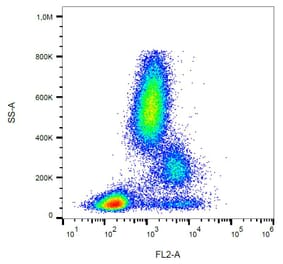 Flow Cytometry - Anti-CD39 Antibody [TU66] (PE) (A85881) - Antibodies.com