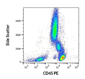 Flow Cytometry - Anti-CD45 Antibody [MEM-28] (PE) (A85884)