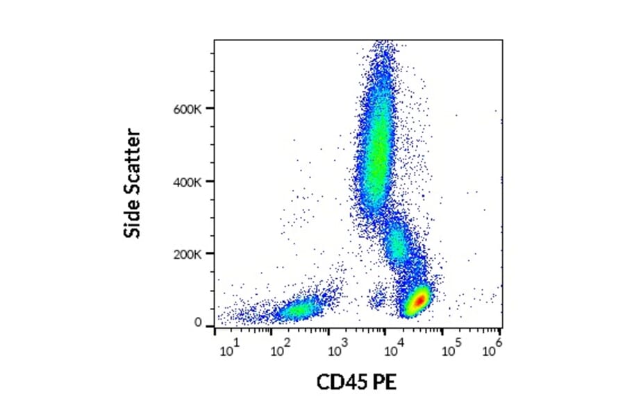 Flow Cytometry - Anti-CD45 Antibody [MEM-28] (PE) (A85884)