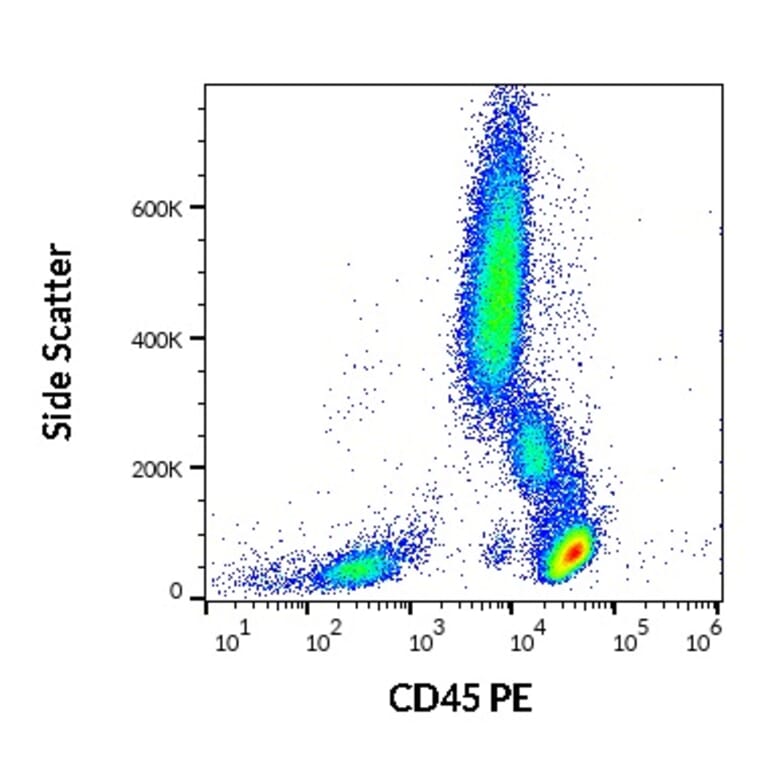 Flow Cytometry - Anti-CD45 Antibody [MEM-28] (PE) (A85884)