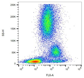 Flow Cytometry - Anti-CD39 Antibody [TU66] (A85887) - Antibodies.com