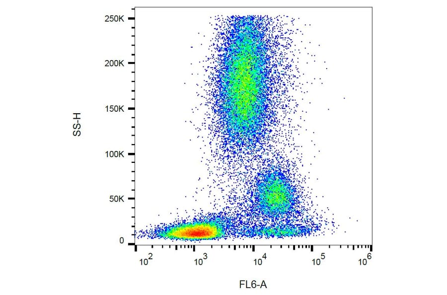 Flow Cytometry - Anti-CD39 Antibody [TU66] (A85887) - Antibodies.com