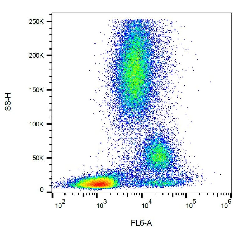 Flow Cytometry - Anti-CD39 Antibody [TU66] (A85887) - Antibodies.com