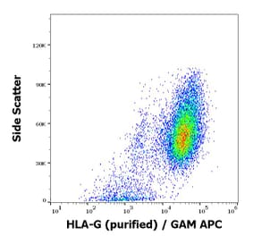 Flow Cytometry - Anti-HLA G Antibody [2A12] (A85890)