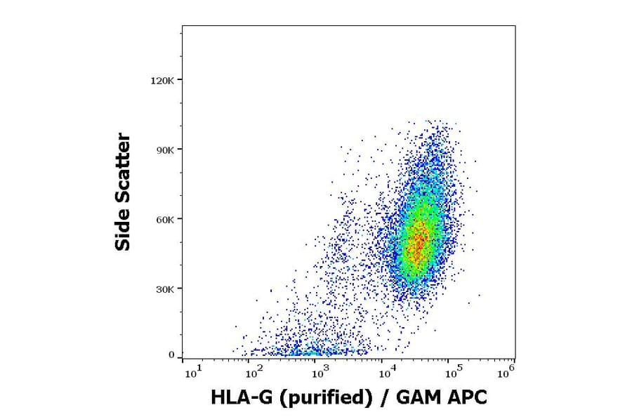 Flow Cytometry - Anti-HLA G Antibody [2A12] (A85890)