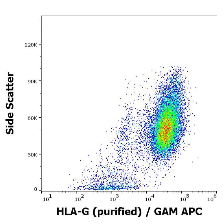 Flow Cytometry - Anti-HLA G Antibody [2A12] (A85890)