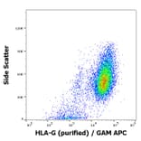 Flow Cytometry - Anti-HLA G Antibody [2A12] (A85890)