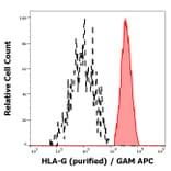 Flow Cytometry - Anti-HLA G Antibody [2A12] (A85890)