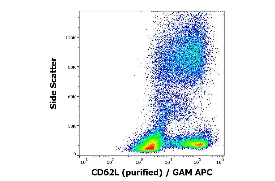 Flow Cytometry - Anti-CD62L Antibody [DREG56] (A85891)