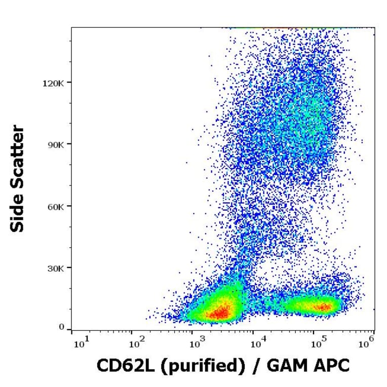 Flow Cytometry - Anti-CD62L Antibody [DREG56] (A85891)