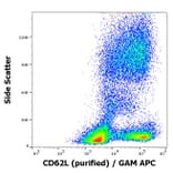 Flow Cytometry - Anti-CD62L Antibody [DREG56] (A85891)
