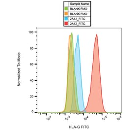 Flow Cytometry - Anti-HLA G Antibody [2A12] (FITC) (A85894)