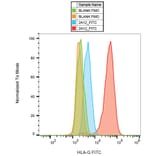 Flow Cytometry - Anti-HLA G Antibody [2A12] (FITC) (A85894)