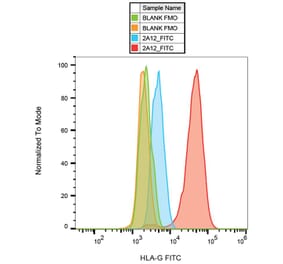 Flow Cytometry - Anti-HLA G Antibody [2A12] (FITC) (A85893) - Antibodies.com