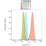 Flow Cytometry - Anti-HLA G Antibody [2A12] (FITC) (A85893) - Antibodies.com