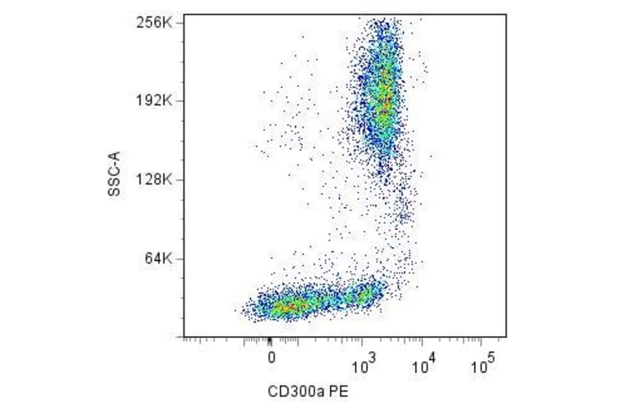 Flow Cytometry - Anti-CD300a Antibody [MEM-260] (PE) (A85896)