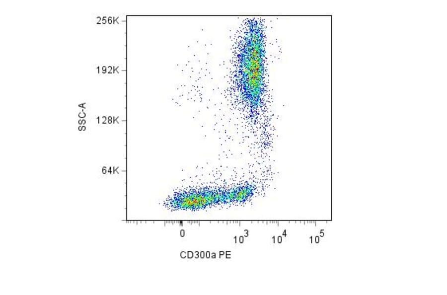 Flow Cytometry - Anti-CD300a Antibody [MEM-260] (PE) (A85894) - Antibodies.com