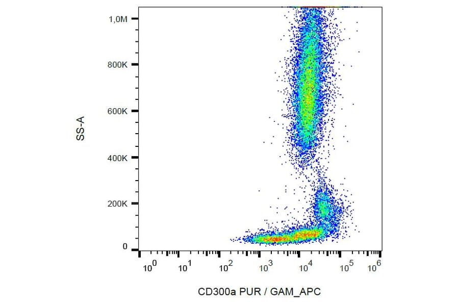 Flow Cytometry - Anti-CD300a Antibody [MEM-260] (A85897)