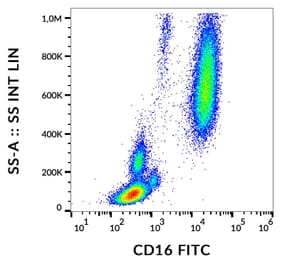Flow Cytometry - Anti-CD16 Antibody [MEM-154] (FITC) (A85899)
