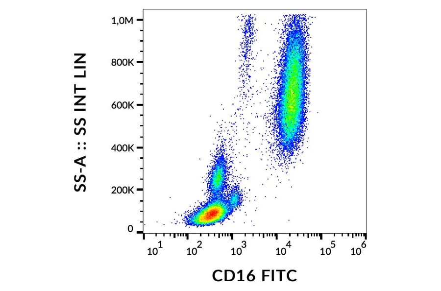Flow Cytometry - Anti-CD16 Antibody [MEM-154] (FITC) (A85899)