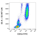 Flow Cytometry - Anti-CD16 Antibody [MEM-154] (FITC) (A85899)