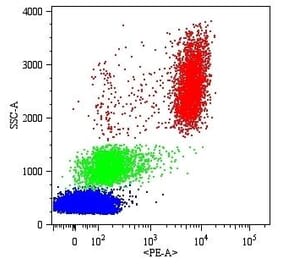 Flow Cytometry - Anti-CD16 Antibody [MEM-154] (PE) (A85900)
