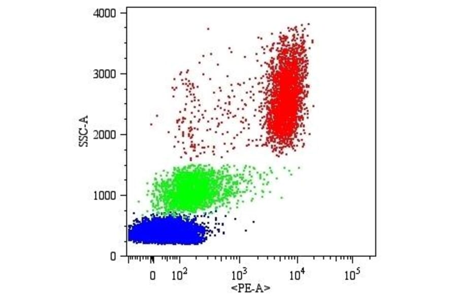 Flow Cytometry - Anti-CD16 Antibody [MEM-154] (PE) (A85900)
