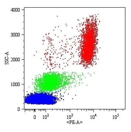 Flow Cytometry - Anti-CD16 Antibody [MEM-154] (PE) (A85900)