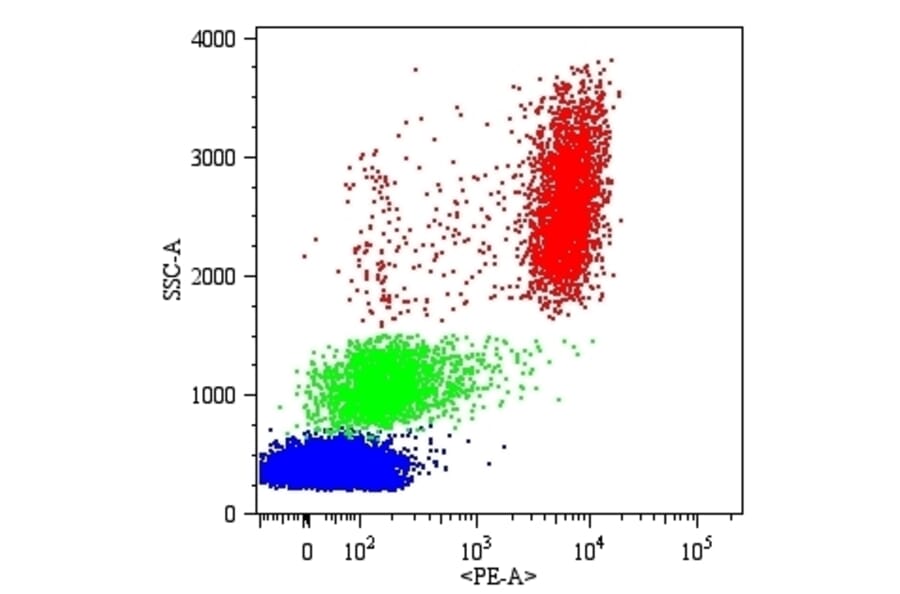 Flow Cytometry - Anti-CD16 Antibody [MEM-154] (PE) (A85897) - Antibodies.com