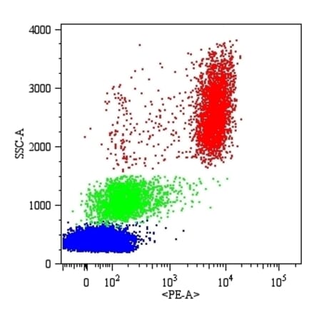 Flow Cytometry - Anti-CD16 Antibody [MEM-154] (PE) (A85897) - Antibodies.com