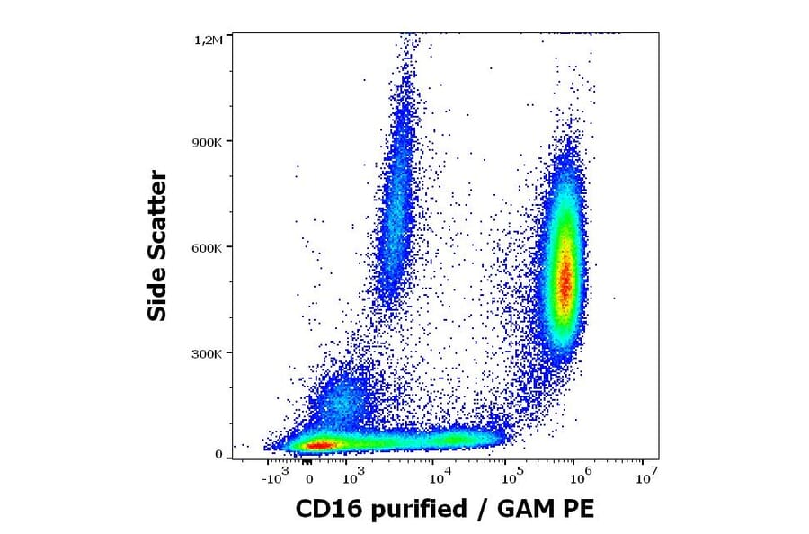 Flow Cytometry - Anti-CD16 Antibody [MEM-154] (A85901)