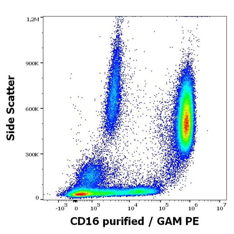 Flow Cytometry - Anti-CD16 Antibody [MEM-154] (A85901)