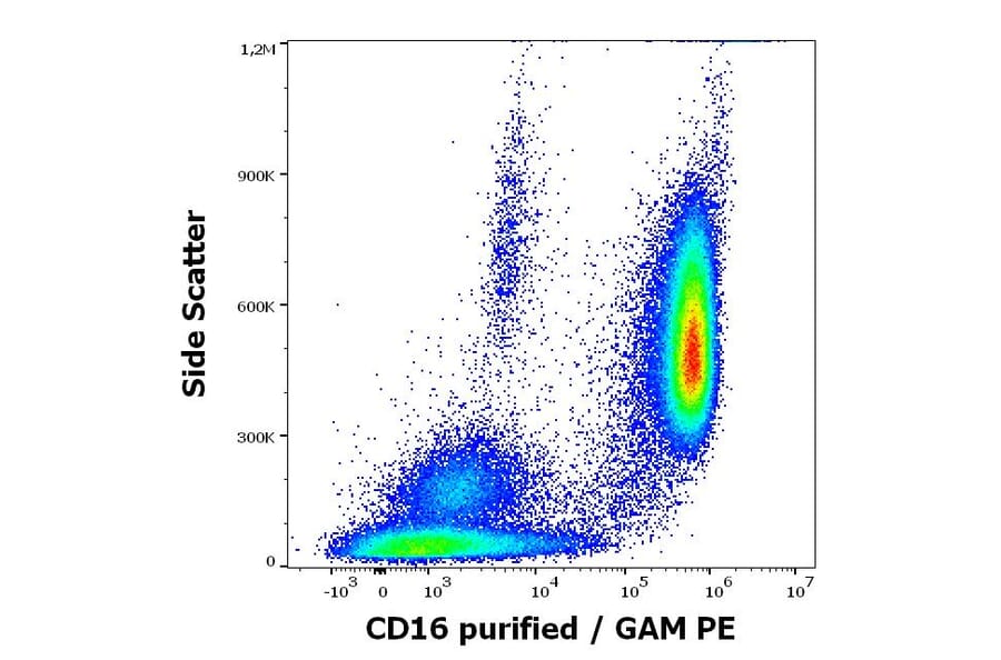 Flow Cytometry - Anti-CD16 Antibody [MEM-154] (A85901)