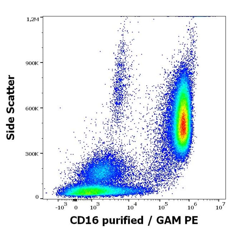 Flow Cytometry - Anti-CD16 Antibody [MEM-154] (A85901)