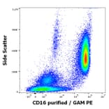 Flow Cytometry - Anti-CD16 Antibody [MEM-154] (A85901)