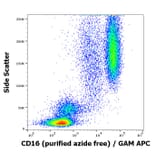 Flow Cytometry - Anti-CD16 Antibody [MEM-154] - BSA and Azide free (A85904)