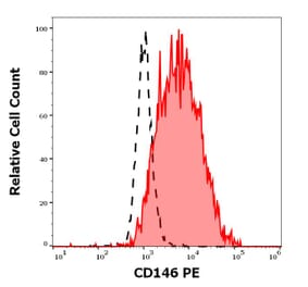 Flow Cytometry - Anti-CD146 Antibody [P1H12] (PE) (A85907)