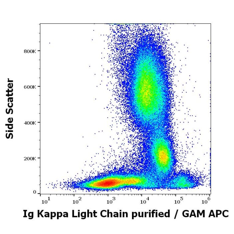 Flow Cytometry - Anti-Human Kappa Light Chain Antibody [MEM-09] (A85908)