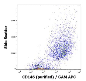 Flow Cytometry - Anti-CD146 Antibody [P1H12] (A85909)