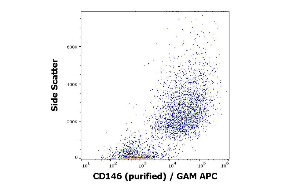 Flow Cytometry - Anti-CD146 Antibody [P1H12] (A85909)