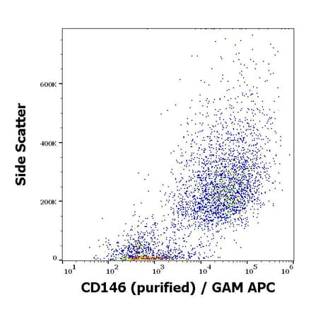Flow Cytometry - Anti-CD146 Antibody [P1H12] (A85909)