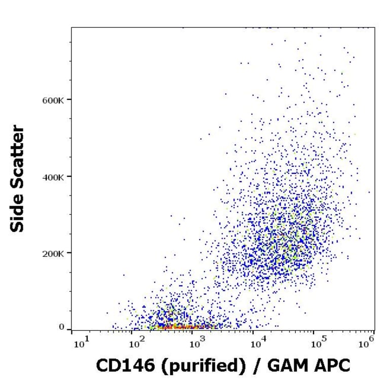 Flow Cytometry - Anti-CD146 Antibody [P1H12] (A85909)