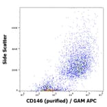 Flow Cytometry - Anti-CD146 Antibody [P1H12] (A85909)