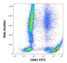 Flow Cytometry - Anti-Integrin beta 3 Antibody [VIPL2] (FITC) (A85911)