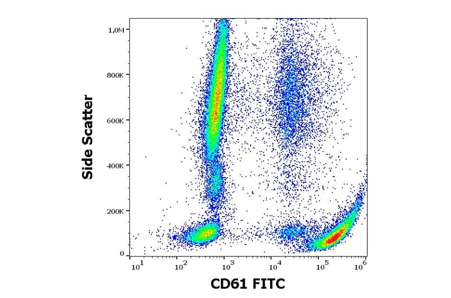 Flow Cytometry - Anti-Integrin beta 3 Antibody [VIPL2] (FITC) (A85911)