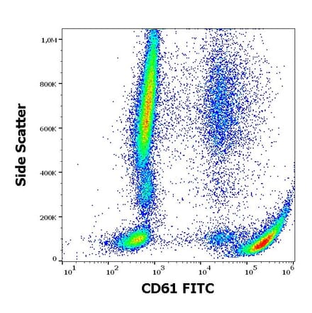 Flow Cytometry - Anti-Integrin beta 3 Antibody [VIPL2] (FITC) (A85911)