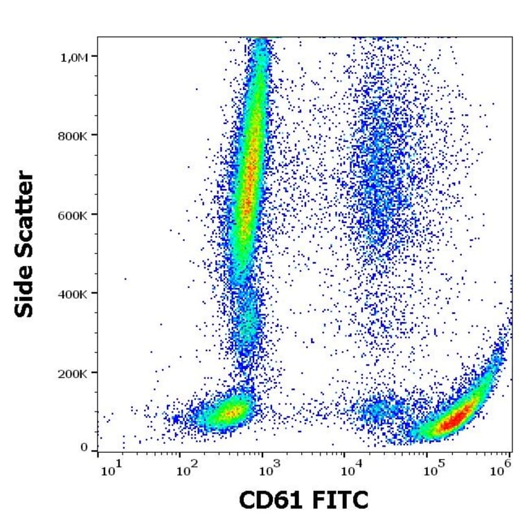 Flow Cytometry - Anti-Integrin beta 3 Antibody [VIPL2] (FITC) (A85911)