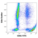 Flow Cytometry - Anti-Integrin beta 3 Antibody [VIPL2] (FITC) (A85911)
