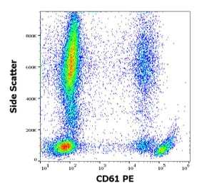 Flow Cytometry - Anti-Integrin beta 3 Antibody [VIPL2] (PE) (A85912)